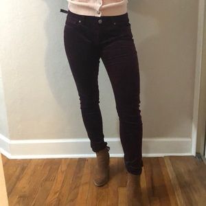 CAbi corduroy pants